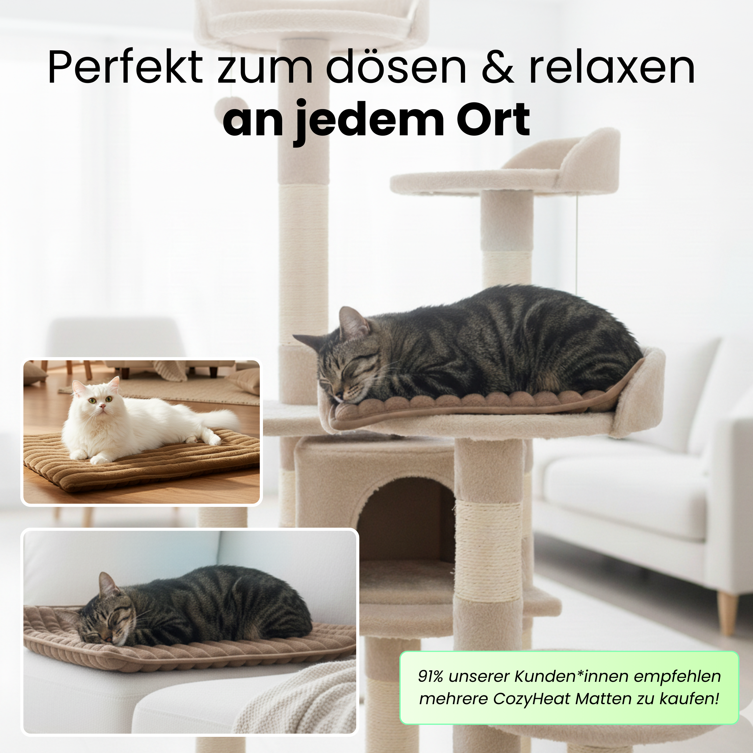 CozyHeat - Orthopädische selbstwärmende Katzen Matte (61x45cm)